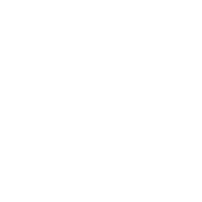 srixon-logo
